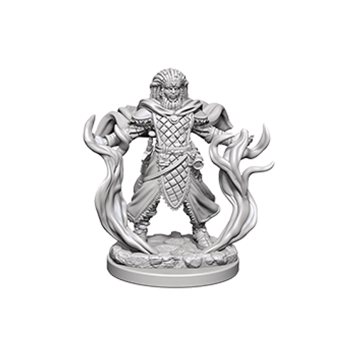 Human Male Druid / Люди-друиды