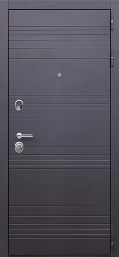 Стальная дверь "Дуэт". Заказная модель.