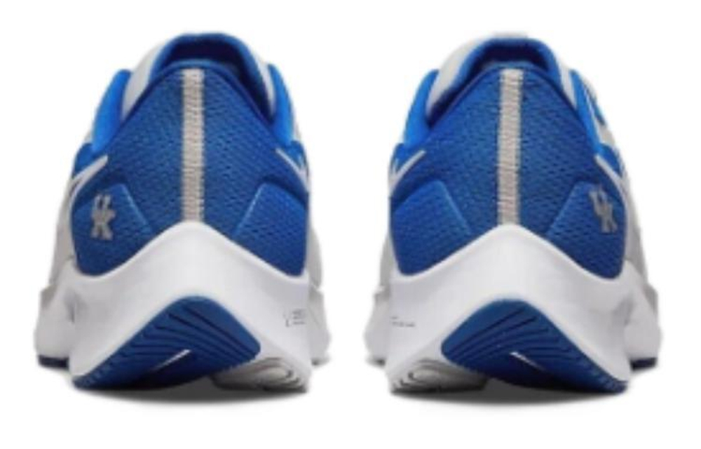 Кроссовки Nike Toto College Air Zoom Pegasus 38 "Kentucky"