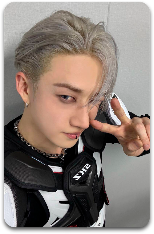 Карта / STRAY KIDS #4466