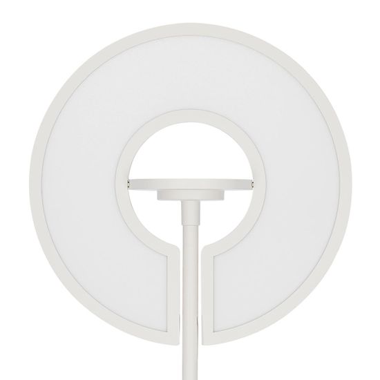 CL810030 LOONG RGB Белый Торшер