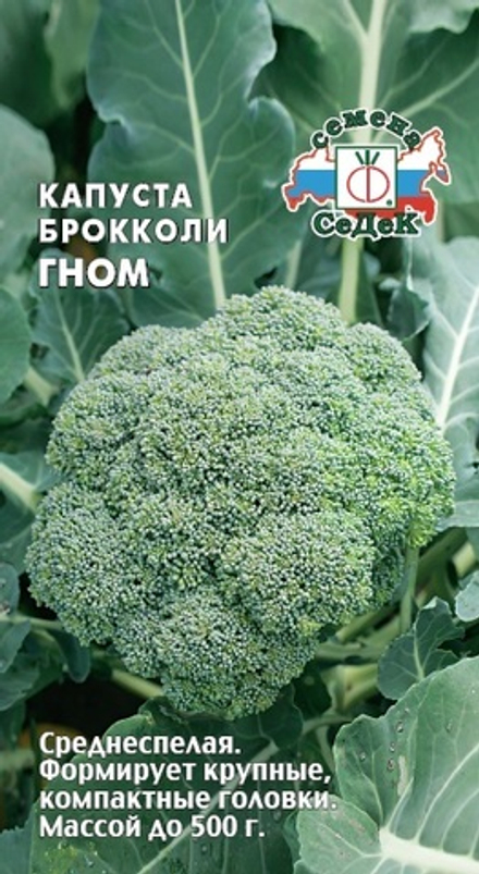 капуста Гном