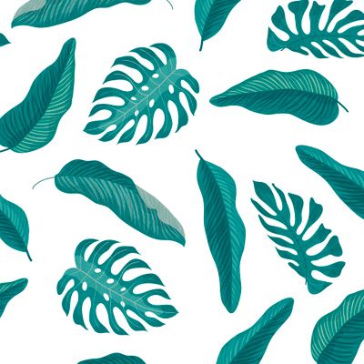 Листья пальмы на белом