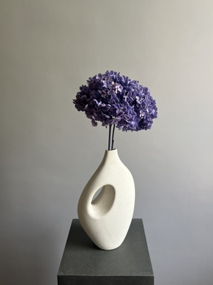 Гортензия стабилизированная сиренево—голубая градиент