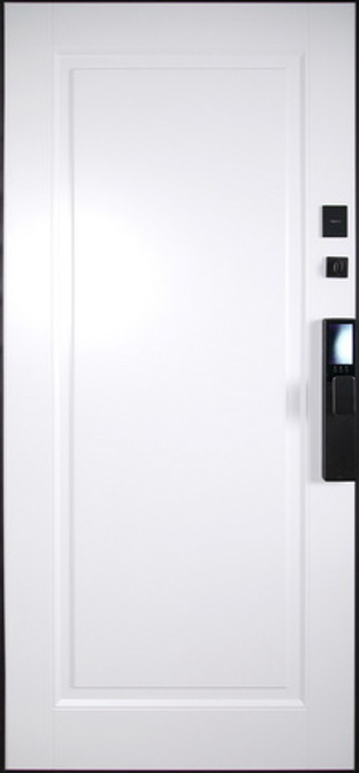 Стальная дверь "Сапсан" (биометрический замок Y12)