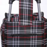 Тележка хозяйственная с сумкой (88*34*30см, колеса 16 см,грузоподъемность до 30 кг) клетчатая DC-306