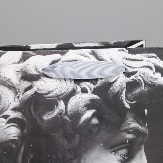 Пакет ламинированный вертикальный Perfect, MS 18 × 23 × 10 см 4725238