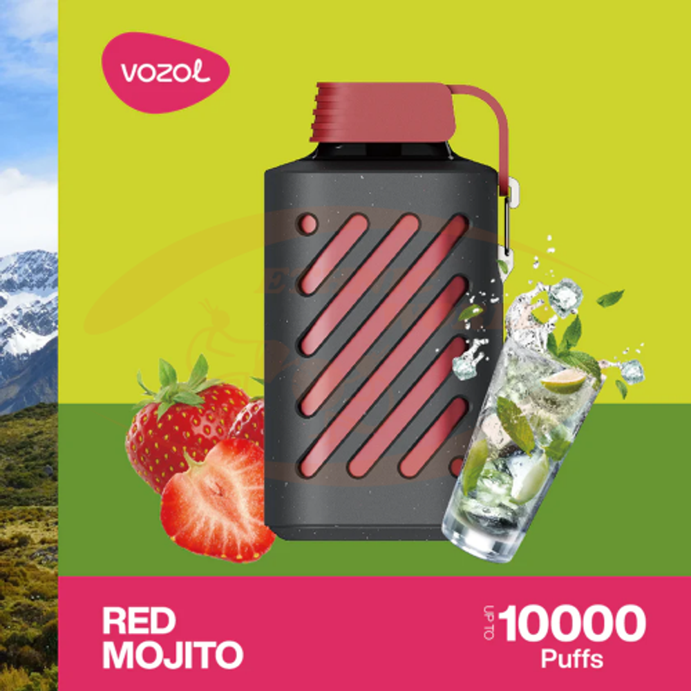VOZOL GEAR 10000 - Red Mojito (5% nic)