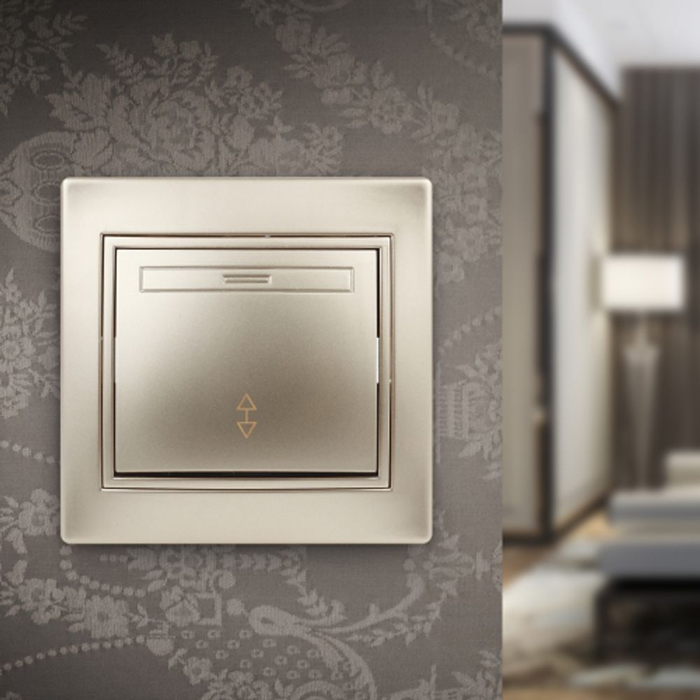 1-103-04 Intro Переключатель, 10А-250В, IP20, СУ, Plano, шампань | Intro Plano