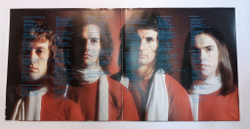 Винтажная виниловая пластинка LP Slade Old New Borrowed And Blue (Germany 1974)