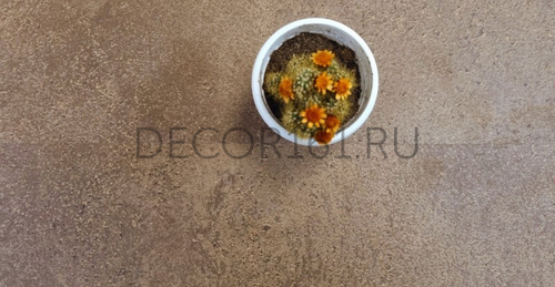 Атлас Ламинат ALLOC, Норвегия