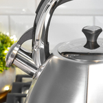 Чайник 3,2л нерж со свистком и ручкой "soft touch", индукция