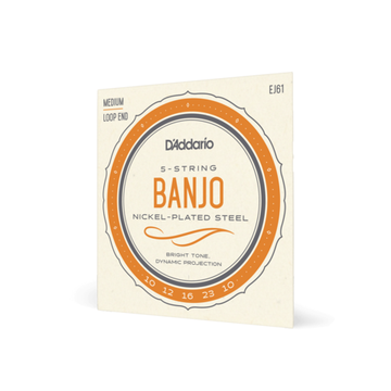 Струны для банджо D'ADDARIO EJ61