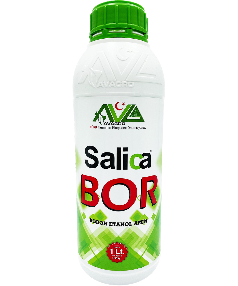 Salica Bor