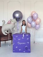 Воздушные шары №8165