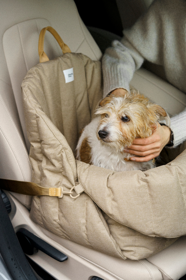Товары для транспортировки собак в машине