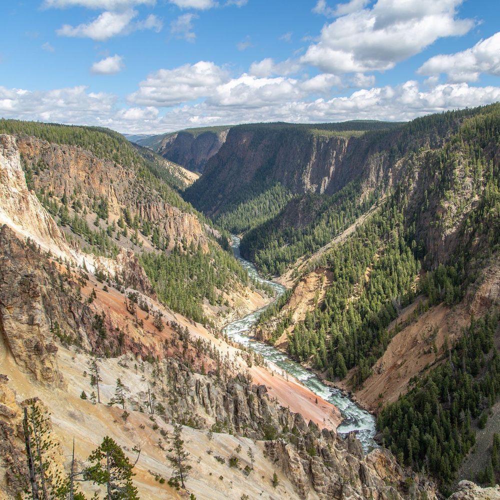 Caswell Massey Canyon Fragrance Tonic