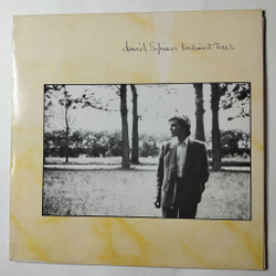 Винтажная виниловая пластинка LP David Sylvian Brilliant Trees (UK 1984)