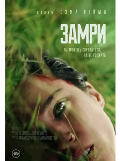 Замри (2024) (DVD-R)