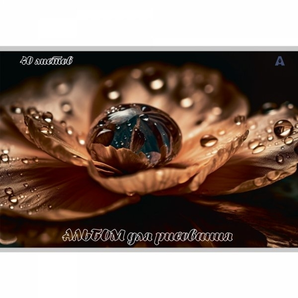 Альбом для рисования А4 40л., Alingar, на скрепке, мелованный картон (стандарт), 100 г/м2, "Цветы", 2 дизайна в пленке т/у