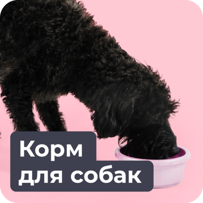 Корма для собак
