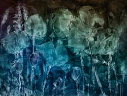 Коллекция AQUARELLE