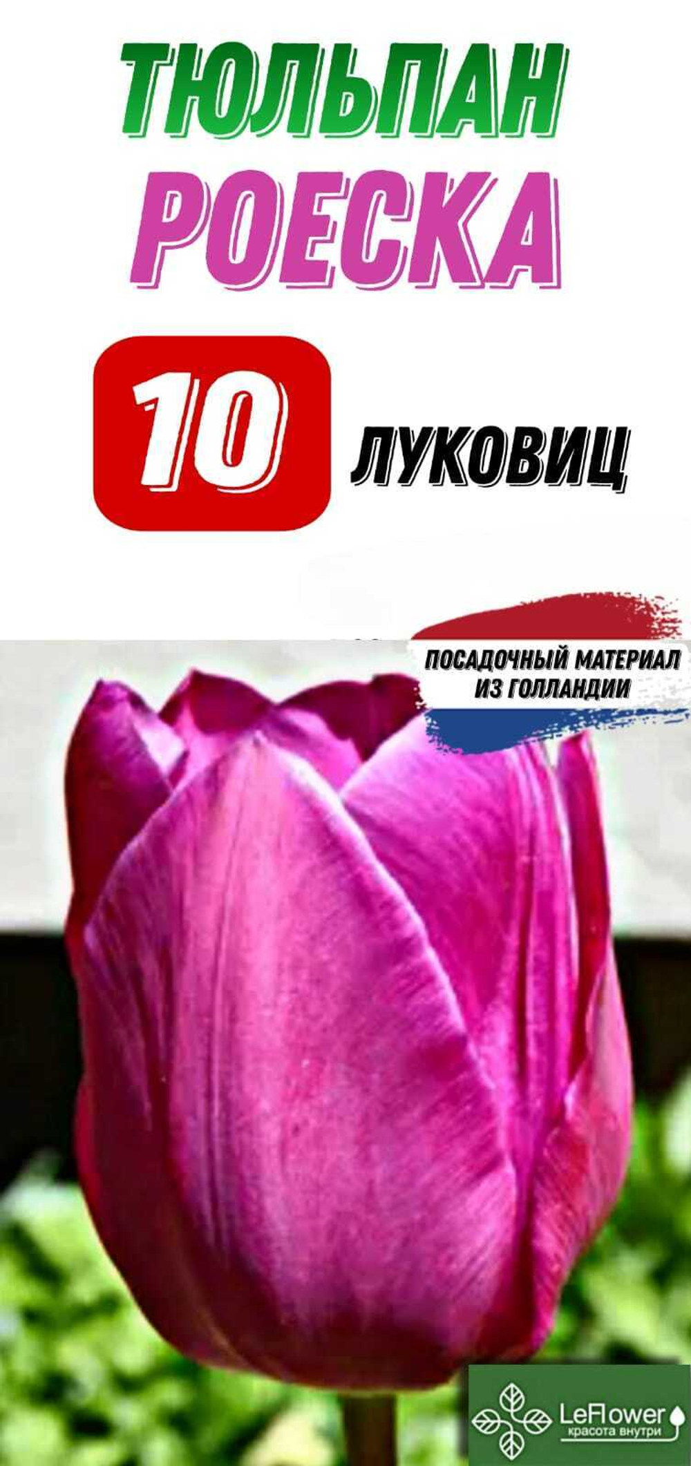 Тюльпан Луковица, Роеска, 10шт