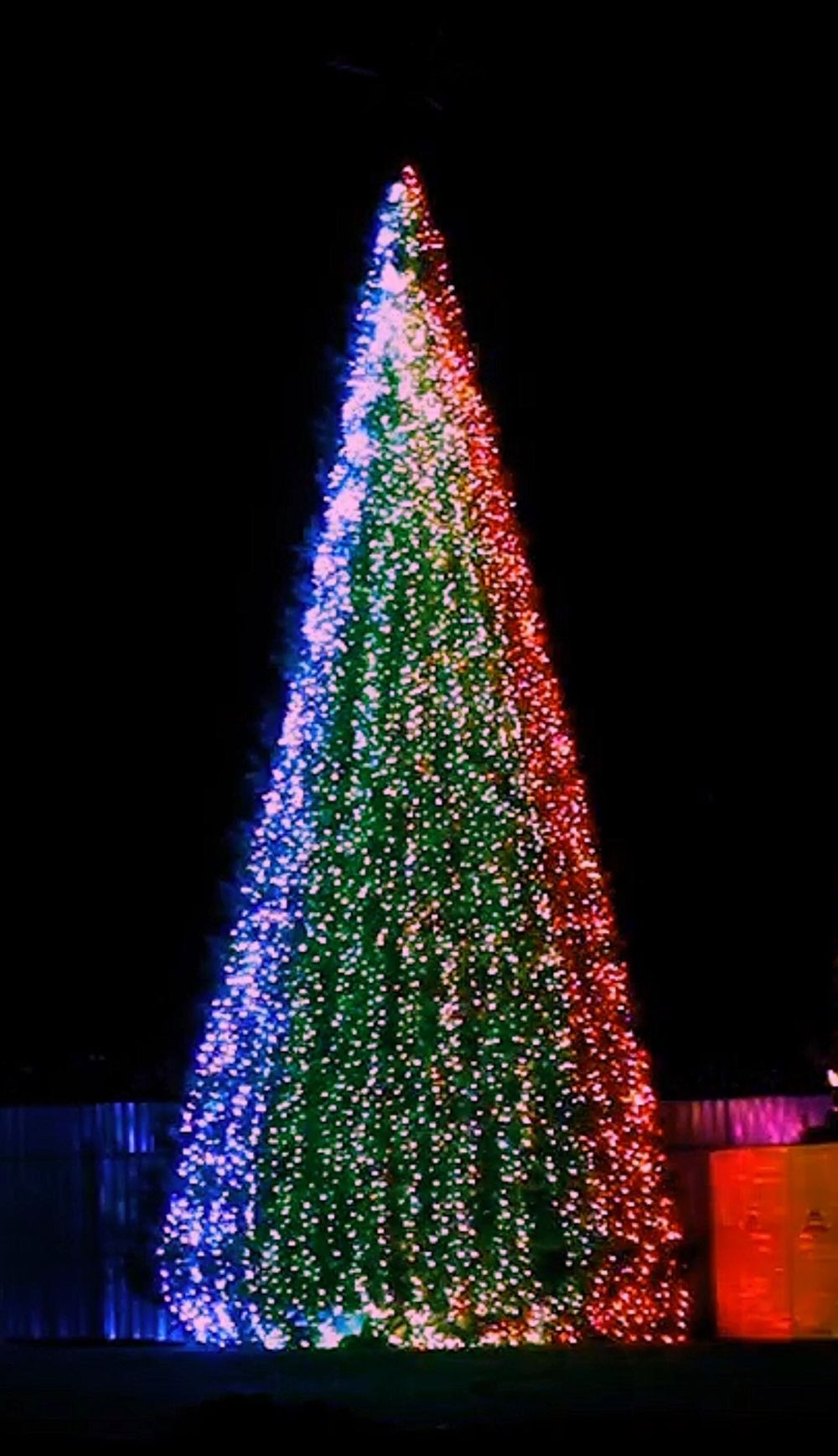 уличная гирлянда "Хамелеон"