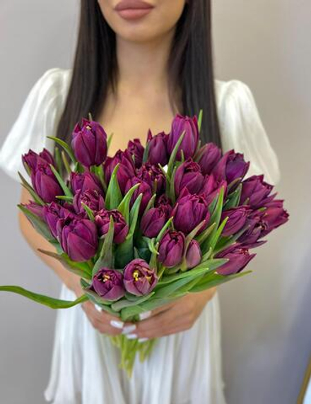 Эллисон № 31