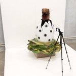 Яйцо динозавра