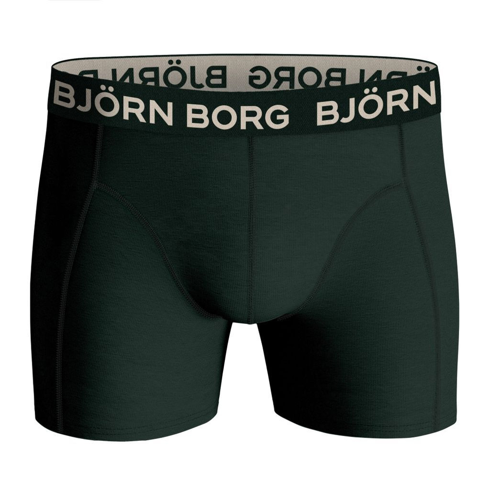 Мужские спортивные боксеры Björn Borg Core Boxer 2P - разноцветный