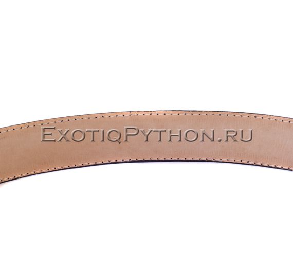 Ремень из кожи питона AC-51