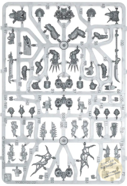 (2 in 1) Raptors / Warp Talons 2025