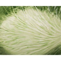 БЛЮДО "КАПУСТА" 20*13 СМ. МАЛ.УП.=2 ШТ (МИН. ПАРТИЯ)