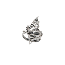 "Красс" кольцо в серебряном покрытии из коллекции "Dragon" от Jenavi