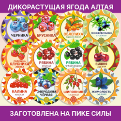 Чабрец пучок.