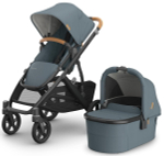 Коляска для погодок UPPAbaby Vista V3 2 в 1 Dillan
