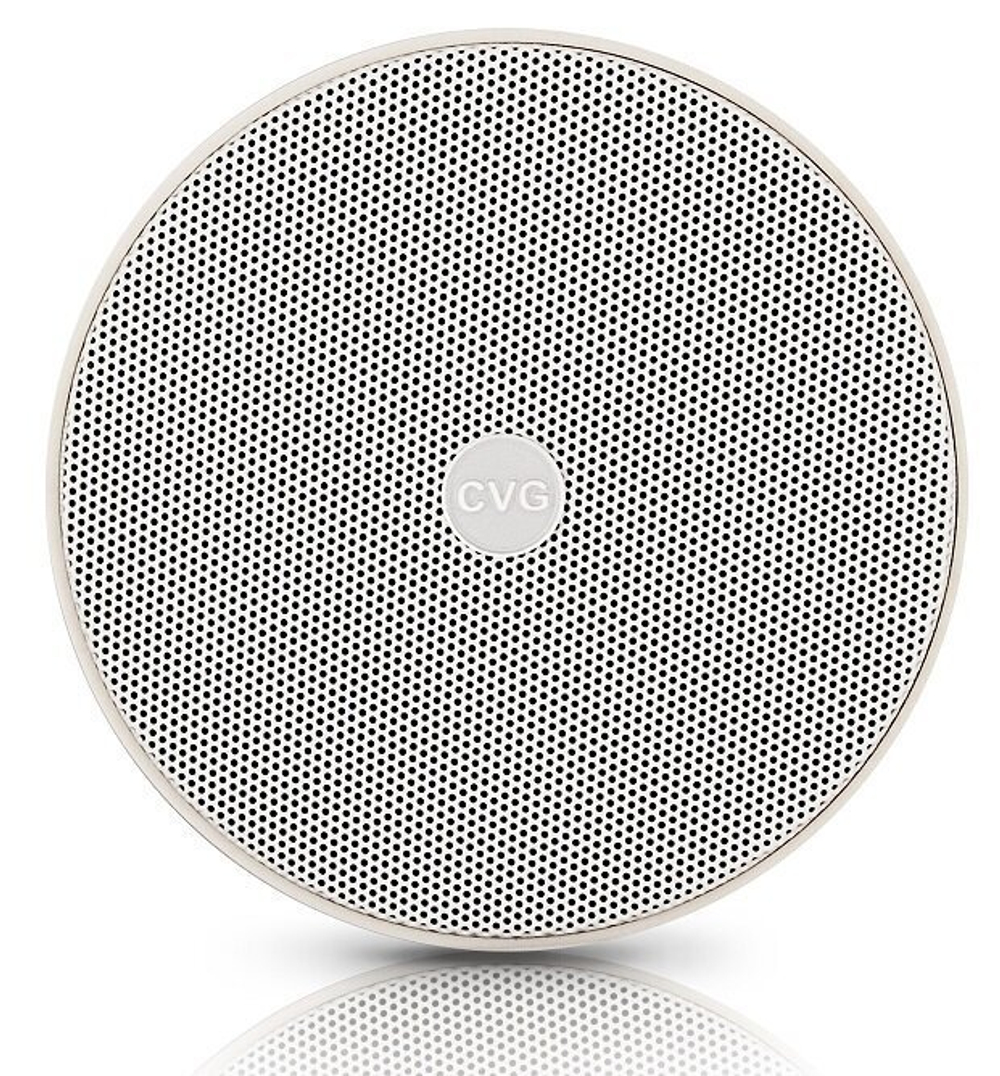 CVGAUDIO SPC5T Подвесная широкополосная колонка