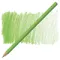 Rəngli karandaş \ Цветные карандаши Faber-Castell Polychromos Pencil - 171 Light Green
