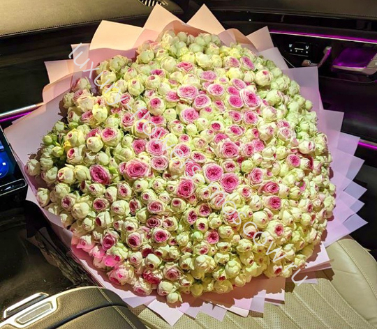 201 пионовидная кустовая