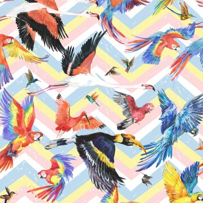 Разноцветные тропические птицы на фоне зигзаг