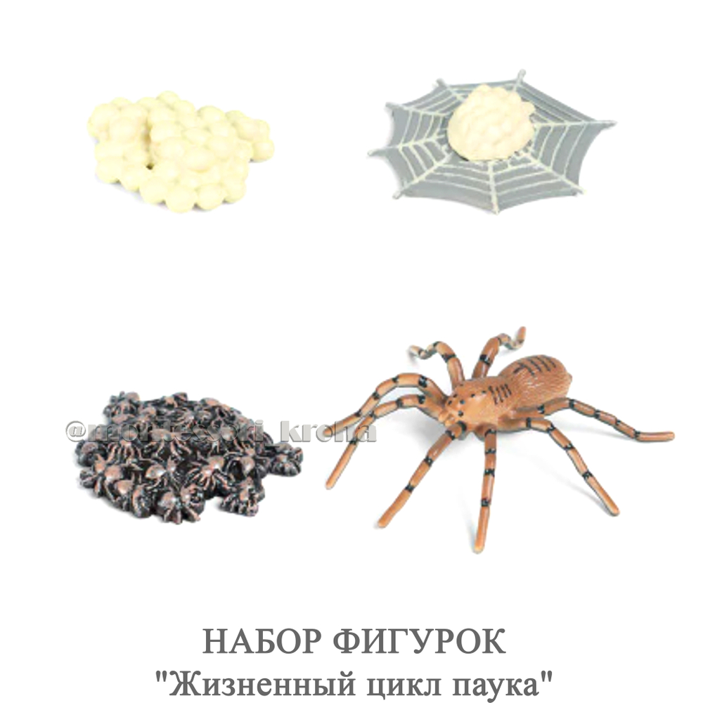 НАБОР ФИГУРОК "Жизненный цикл паука"