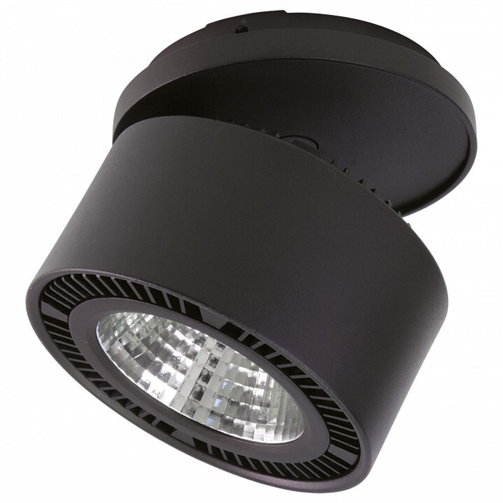 Спот Lightstar 213807