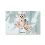 Открытка Поздравляю (кошка в бусах)