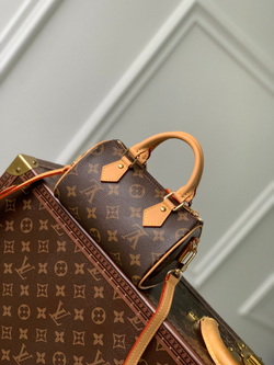 Louis Vuitton Nano Speedy