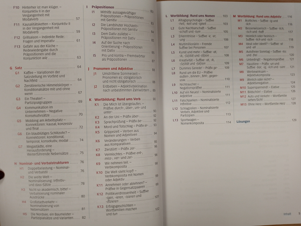 Wortschatz & Grammatik C1 Buch