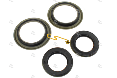 MPS6.PISKIT51 MPS6/6DCT450 CLUTCH PISTON KIT