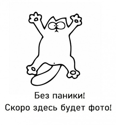 Дверь-купе ARISTO SMART, зеркало, профиль золото матовое