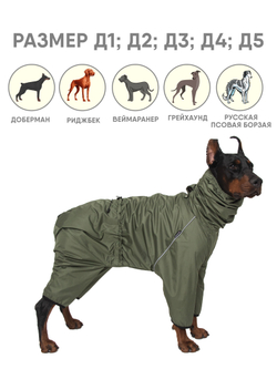 Утепленный комбинезон для собак мелких и средних пород Монморанси, цвет хаки, S2