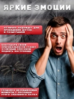 Игрушка паук розыгрыш в коробке